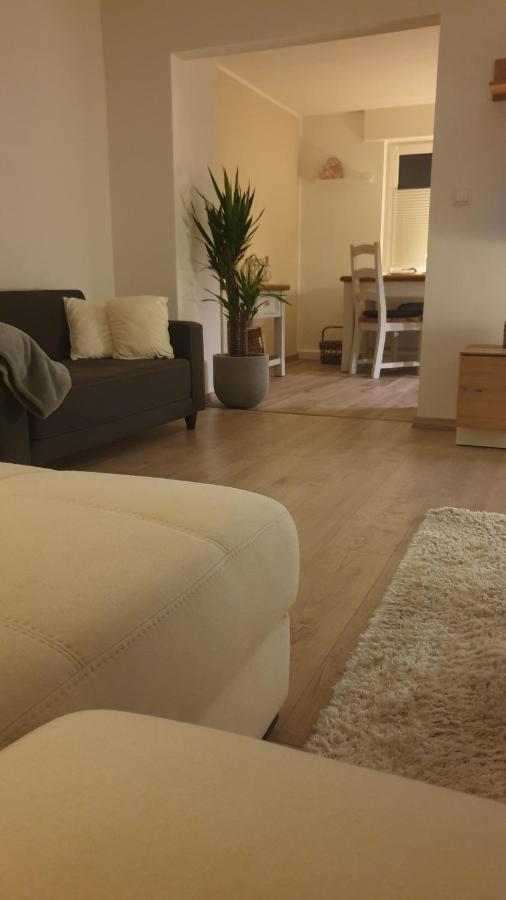 Boardingappartement Windeckblick, Ruhige, Zentrale Lage Mit Grossem Suedbalkon Buehl  Exterior photo